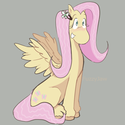 Size: 2000x2000 | Tagged: safe, artist:fuzzyjaw, fluttershy, pegasus, pony, g4, blushing, butterfly hairpin, female, gray background, grin, hair accessory, high res, mare, simple background, sitting, smiling, solo, spread wings, three quarter view, unshorn fetlocks, wings