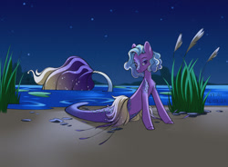 Size: 1280x942 | Tagged: safe, artist:lilitepsilon, oc, oc only, merpony, seapony (g4), blue mane, female, fish tail, flowing tail, looking at you, lying down, mermaid tail, night, ocean, plant, purple eyes, sand, scales, seaweed, sky, smiling, solo, stars, tail, water