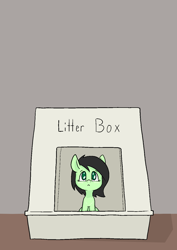 Size: 1000x1414 | Tagged: safe, artist:happy harvey, oc, oc:filly anon, earth pony, pony, behaving like a cat, colored, colored pupils, cute, female, filly, implied disposal, litterbox, looking up, phone drawing, smol