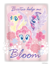 Size: 800x1000 | Tagged: safe, fluttershy, pinkie pie, twilight sparkle, alicorn, earth pony, pegasus, pony, g4, official, cropped, design, female, flower, mare, merchandise, pink background, shirt design, simple background, text, transparent background, trio, twilight sparkle (alicorn)