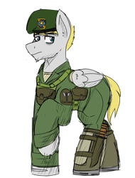 Size: 1767x2322 | Tagged: safe, artist:coatieyay, oc, oc only, pegasus, pony, beret, clothes, green beret, hat, knife, male, simple background, transparent background, uniform, vietnam war