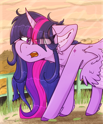 Size: 1795x2160 | Tagged: safe, artist:tizhonolulu, twilight sparkle, alicorn, pony, g4, angry, eye clipping through hair, female, mare, solo, twilight sparkle (alicorn)