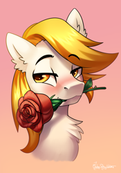 Size: 2000x2852 | Tagged: safe, artist:jedayskayvoker, oc, oc only, oc:sparklingfire, pony, blushing, bust, cute, flower, gradient background, high res, icon, male, portrait, rose, solo, stallion