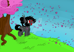 Size: 1024x724 | Tagged: safe, artist:fantaslily32, oc, oc:ebony darkness, cherry blossoms, commission, flower, flower blossom