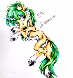 Size: 3024x3232 | Tagged: safe, artist:creature.exist, oc, oc only, pony, unicorn, cloven hooves, fluffy, high res, solo