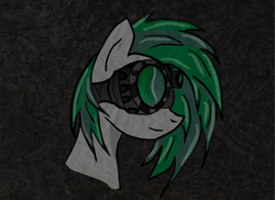 Size: 4096x2989 | Tagged: safe, oc, oc only, oc:flare, oc:illume, pegasus, pony, bust, disguise, disguised changeling, female, goggles, high res, mare, night vision goggles, portrait, profile, solo