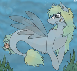 Size: 1024x953 | Tagged: safe, artist:cupidity4200, oc, oc only, merpony, pegasus, pony, seapony (g4), bandaid, bubble, dorsal fin, fin wings, fish tail, flowing tail, gray eyes, ocean, seaponified, seaweed, smiling, solo, species swap, swimming, tail, underwater, water, wings, yellow mane