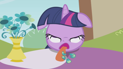 Size: 1920x1080 | Tagged: safe, screencap, twilight sparkle, pony, unicorn, season 1, the ticket master, ahegao, cute, eyes rolling back, faic, female, floppy ears, flower, flower pot, great moments in animation, horn, mare, open mouth, petals, prehensile tongue, solo, tongue out, twiabetes, twilight sparkle is best facemaker, twiman, unicorn twilight