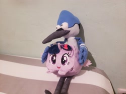 Size: 2880x2160 | Tagged: safe, twilight sparkle, alicorn, bird, blue jay, pony, g4, box pony, crossover, crossover shipping, cubd, cube plush, cube pony, female, high res, irl, male, merchandise, mordecai, mordetwi, photo, plushie, regular show, shipping, straight, twicube, twilight sparkle (alicorn)