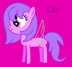 Size: 653x605 | Tagged: safe, artist:seanthedragonpony, lily (g1), flutter pony, pony, g1, g4, cute, female, g1 lilybetes, g1 to g4, generation leap, magenta background, mare, purple text, simple background, solo, text, wings