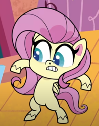 Size: 366x468 | Tagged: safe, screencap, fluttershy, pegasus, pony, g4.5, my little pony: pony life, unboxing day, bipedal, cropped, female, solo, surprised