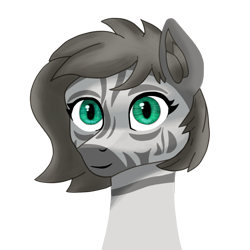 Size: 1000x1000 | Tagged: safe, artist:vezja, oc, zebra, bust, female, mare, portrait, simple background, transparent background