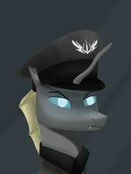 Size: 1000x1333 | Tagged: safe, artist:vezja, oc, changeling, equestria at war mod, abstract background, angry, bust, clothes, hat, male, portrait, uniform