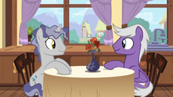 Size: 1920x1080 | Tagged: safe, screencap, silver script, star bright, pegasus, pony, unicorn, g4, triple threat, curtains, duo, flower, flower vase, folded wings, looking at each other, male, sink, sitting, stallion, table, window, wings