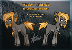 Size: 3447x2404 | Tagged: safe, artist:xsund0wnx, oc, oc only, oc:sunny sundown, earth pony, pony, agender, blank flank, colored hooves, high res, jewelry, necklace, ponysona, reference sheet, solo