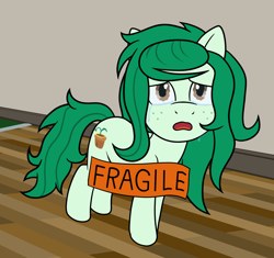Size: 1132x1066 | Tagged: safe, artist:scraggleman, wallflower blush, earth pony, pony, g4, crying, equestria girls ponified, freckles, meme, ponified, ponified animal photo, ponified meme, sad, solo, sticker