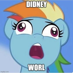 Size: 500x500 | Tagged: safe, edit, edited screencap, editor:icicle-niceicle-1517, screencap, rainbow dash, pegasus, pony, g4, my little pony: the movie, burp, bust, caption, cropped, derp face, didney worl, faic, female, image macro, imgflip, mare, meme, open mouth, out of context, portrait, solo, text