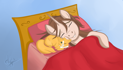 Size: 3500x2000 | Tagged: safe, artist:julymays, oc, oc only, cat, pony, unicorn, bed, duo, gradient background, high res, horn, signature, sleeping, unicorn oc