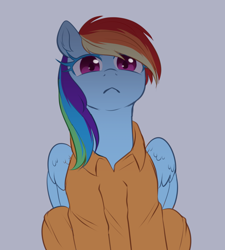 Size: 1280x1422 | Tagged: safe, artist:ghoasthead, rainbow dash, pegasus, pony, g4, :<, clothes, prison outfit, prisoner rd, solo