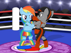 Size: 1600x1200 | Tagged: safe, artist:toyminator900, rainbow dash, oc, oc:dusk strike, pegasus, pony, g4, bipedal, boots, boxing, boxing gloves, boxing ring, duo, duo female, female, mare, shoes, sports