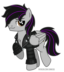 Size: 970x1100 | Tagged: safe, artist:jennieoo, oc, oc only, oc:skynight sleuth, pegasus, pony, clothes, jacket, leather jacket, show accurate, simple background, solo, transparent background, vector