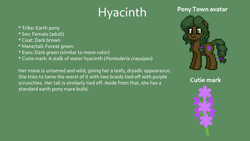 Size: 1600x900 | Tagged: safe, artist:hawthornbunny, oc, oc only, oc:hyacinth, earth pony, pony, pony town, female, green background, mare, reference sheet, simple background, solo, text