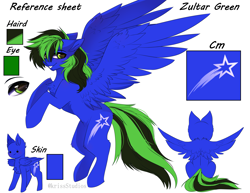 Size: 4391x3383 | Tagged: safe, artist:krissstudios, oc, oc only, oc:zultar green, pegasus, pony, male, reference sheet, solo, stallion
