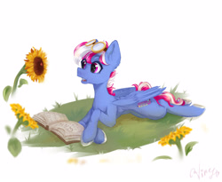 Size: 3840x3144 | Tagged: safe, artist:vinessavinitels, oc, oc only, oc:steam loco, pegasus, pony, book, commission, cute, flower, goggles, high res, lying down, male, pegasus oc, reading, simple background, solo, sunflower, wings, ych result