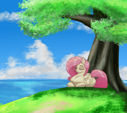 Size: 3600x3200 | Tagged: safe, artist:inkypuso, fluttershy, pegasus, pony, g4, cute, eyes closed, female, high res, lying down, mare, ponyloaf, prone, shyabetes, signature, sleeping, solo, tree