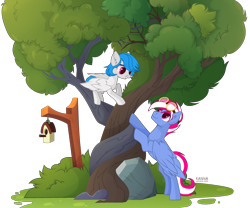 Size: 3190x2655 | Tagged: safe, artist:kawaiizhele, oc, oc:gentle winds, oc:steam loco, pegasus, pony, bird house, commission, cute, folded wings, goggles, high res, intertwined trees, oc x oc, pegasus oc, rock, shipping, simple background, standing, transparent background, tree, wings, ych result