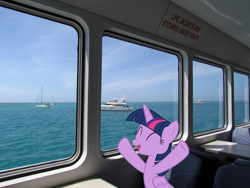 Size: 2800x2100 | Tagged: safe, artist:mlplover94, artist:sonofaskywalker, twilight sparkle, alicorn, pony, g4, eyes closed, female, ferry, florida, high res, irl, mare, photo, ponies in real life, solo, twilight sparkle (alicorn)
