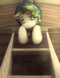 Size: 3873x5000 | Tagged: safe, artist:aquoquoo, pistachio, earth pony, pony, g4, absurd resolution, hat, ladder, looking at you, male, smiling, smiling at you, solo, stallion