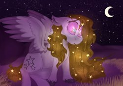 Size: 1630x1140 | Tagged: safe, artist:milledpurple, oc, oc only, pegasus, pony, crescent moon, ear fluff, ethereal mane, female, mare, moon, night, outdoors, pegasus oc, sitting, starry eyes, starry mane, stars, transparent moon, two toned wings, unshorn fetlocks, wingding eyes, wings