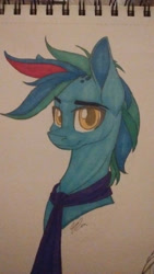 Size: 720x1280 | Tagged: safe, artist:donnie-moon, oc, oc only, earth pony, pony, earth pony oc, necktie, solo, traditional art