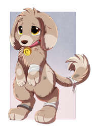 Size: 1280x1762 | Tagged: safe, artist:pridark, oc, oc only, oc:cinnamon (dog), diamond dog, fallout equestria, bandage, collar, dirty, slave, slave collar, solo