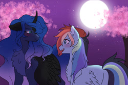 Size: 1280x857 | Tagged: safe, artist:void-sommar, princess luna, rainbow dash, alicorn, pegasus, pony, g4, blushing, chest fluff, markings, moon, night, night sky, sky, tree