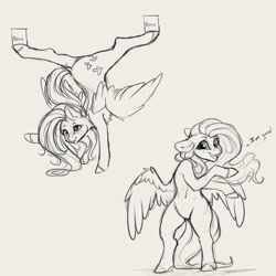 Size: 4000x4000 | Tagged: safe, artist:miokomata, fluttershy, pegasus, pony, g4, balancing, beans, belly button, bipedal, can, dock, female, food, freckles, freckleshy, grayscale, handstand, mare, monochrome, simple background, solo, spread legs, spreading, standing, standing on one leg, tail, upside down, white background