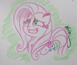 Size: 3157x2654 | Tagged: safe, artist:c.a.m.e.l.l.i.a, fluttershy, g4, green background, high res, scared, simple background, smiling, traditional art