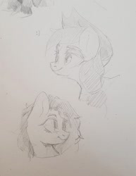 Size: 833x1080 | Tagged: safe, artist:laymy, applejack, earth pony, pony, g4, bust, duo, flower, flower in hair, pencil drawing, smiley face, traditional art