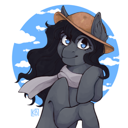 Size: 2048x2048 | Tagged: safe, artist:karamboll, earth pony, pony, blue eyes, clothes, commission, ear fluff, female, half body, hat, high res, scarf, smiling, solo