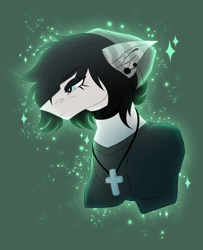 Size: 1300x1600 | Tagged: safe, artist:inspiredpixels, oc, oc only, oc:seth, pony, bust, clothes, male, portrait, solo, stallion