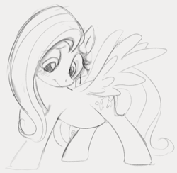 Size: 751x732 | Tagged: safe, artist:dotkwa, fluttershy, pegasus, pony, belly, blushing, chubby, fat, fattershy, female, gray background, grayscale, mare, monochrome, simple background, sketch, solo
