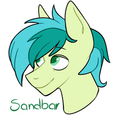 Size: 1000x1000 | Tagged: safe, artist:dymitre, sandbar, earth pony, pony, g4, bust, male, simple background, smiling, solo, teenager, white background