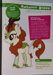 Size: 1984x2792 | Tagged: safe, autumn blaze, kirin, g4, my little pony character guide, text