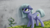 Size: 4000x2250 | Tagged: safe, artist:flusanix, limestone pie, earth pony, pony, g4, female, grass, high res, looking up, mare, solo