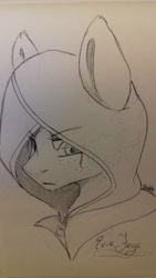 Size: 1836x3264 | Tagged: safe, artist:artfestation, earth pony, pony, assassin's creed, bust, female, hood, lineart, mare, ponified, solo, traditional art