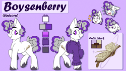 Size: 1807x1016 | Tagged: safe, artist:notetaker, oc, oc only, oc:boysenberry, pony, unicorn, cutie mark, reference sheet, solo