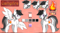 Size: 2295x1291 | Tagged: safe, artist:notetaker, oc, oc:campfire, pegasus, pony, cutie mark, reference sheet