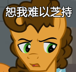 Size: 2302x2171 | Tagged: safe, artist:cozy cloud, edit, cheese sandwich, earth pony, pony, g4, caption, chinese character, high res, image macro, solo, text