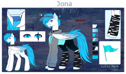 Size: 3000x1772 | Tagged: safe, artist:sparkie45, oc, oc:jona, pegasus, pony, choker, clothes, hoodie, male, reference sheet, solo, spiked choker, stallion